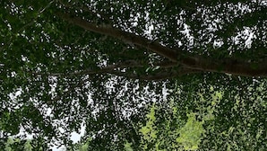 A garden with a swimming pool, a brick pathway, and flowering plants. - Respite Ranch | Private Saltwater Pool, Hot Tub & North Fork Retreat (Mattituck)
