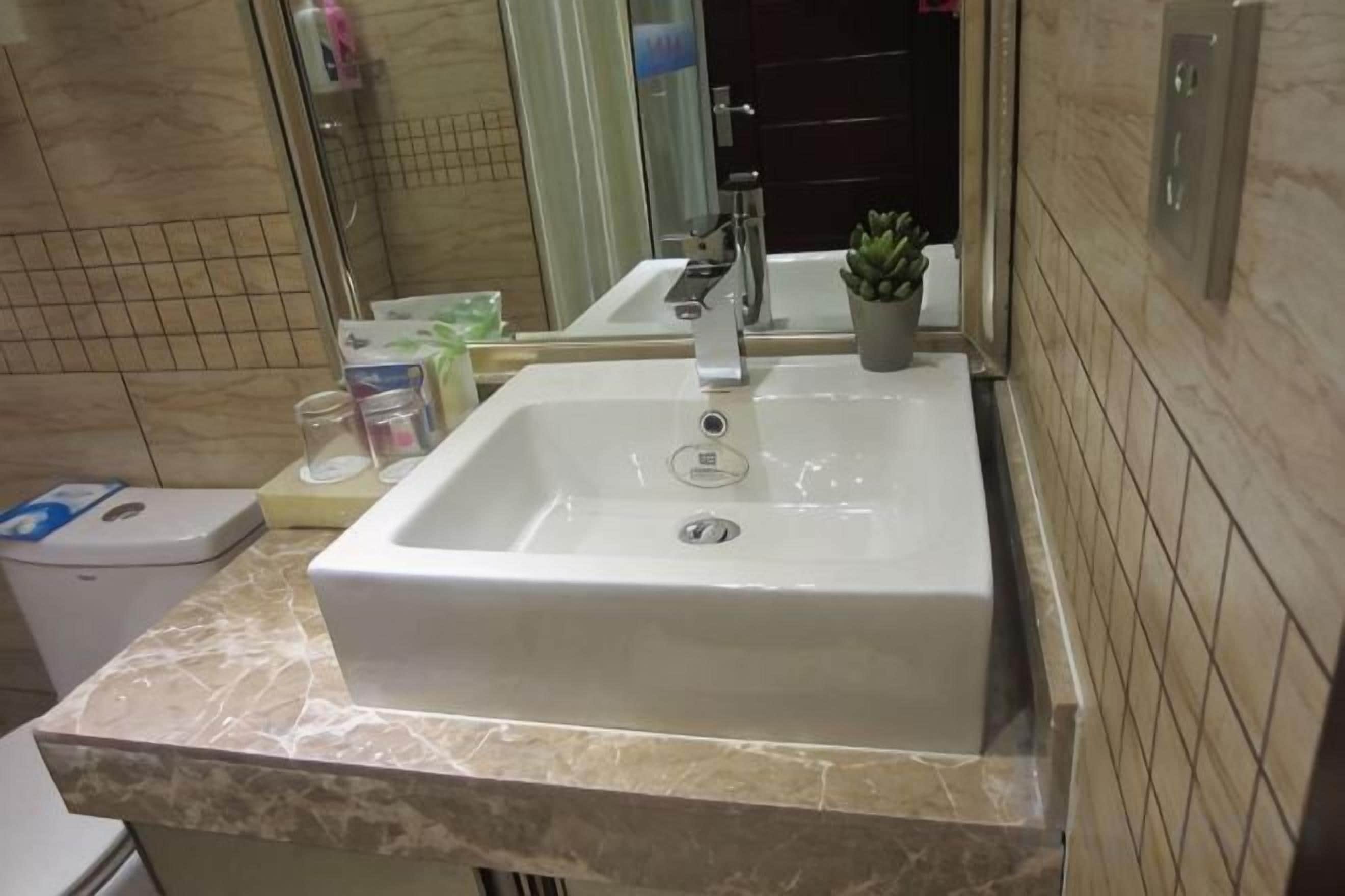 Un baño con un lavamanos blanco, un espejo y una pequeña planta en maceta sobre la encimera.
