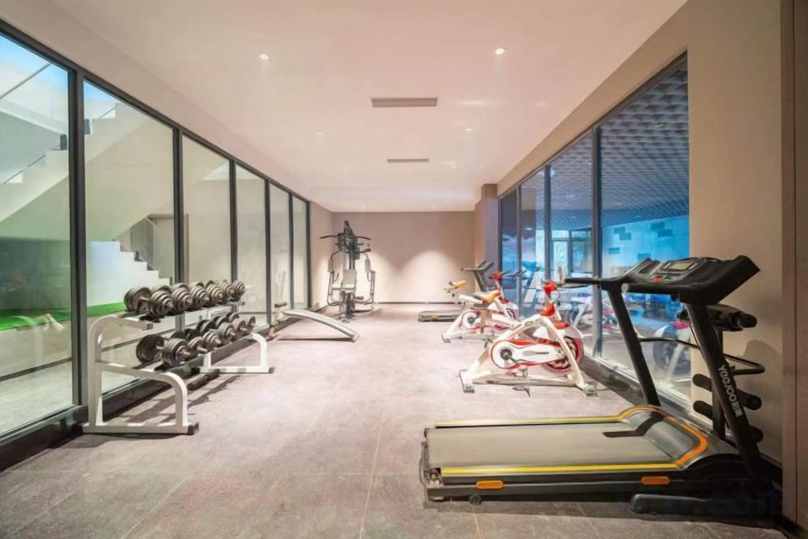 A gym with treadmills, dumbbells, and exercise machines.
