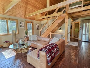 Smart TV, caminetto, lettore DVD, tavolo da ping pong