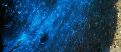 A close-up of a textured surface with a pattern of small, irregular shapes.