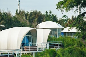 Dos estructuras en forma de cúpula conectadas por un paseo cubierto, rodeadas de follaje.