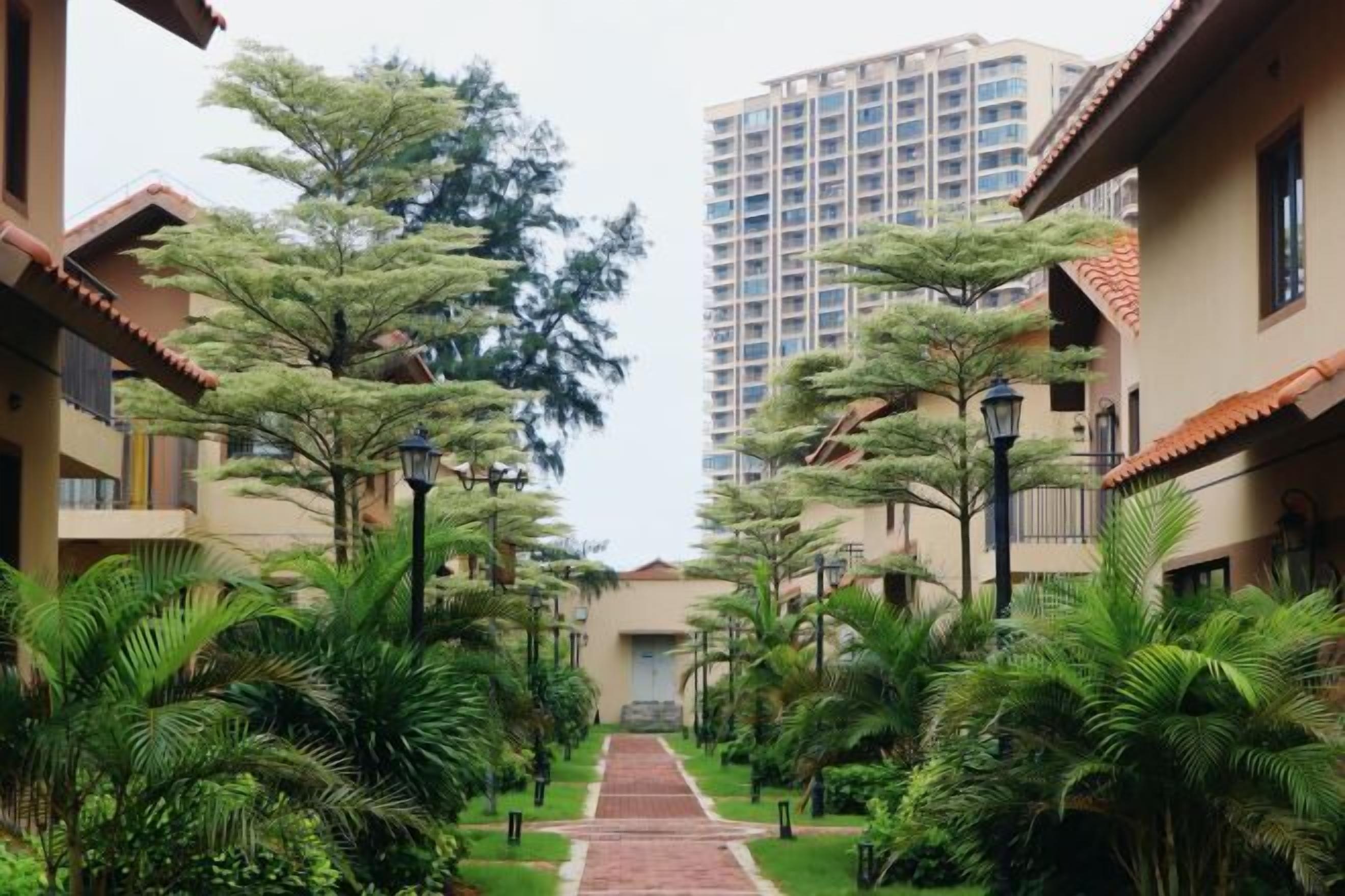 Un sendero bordeado por edificios con una puerta central, rodeado de abundante vegetación y árboles.