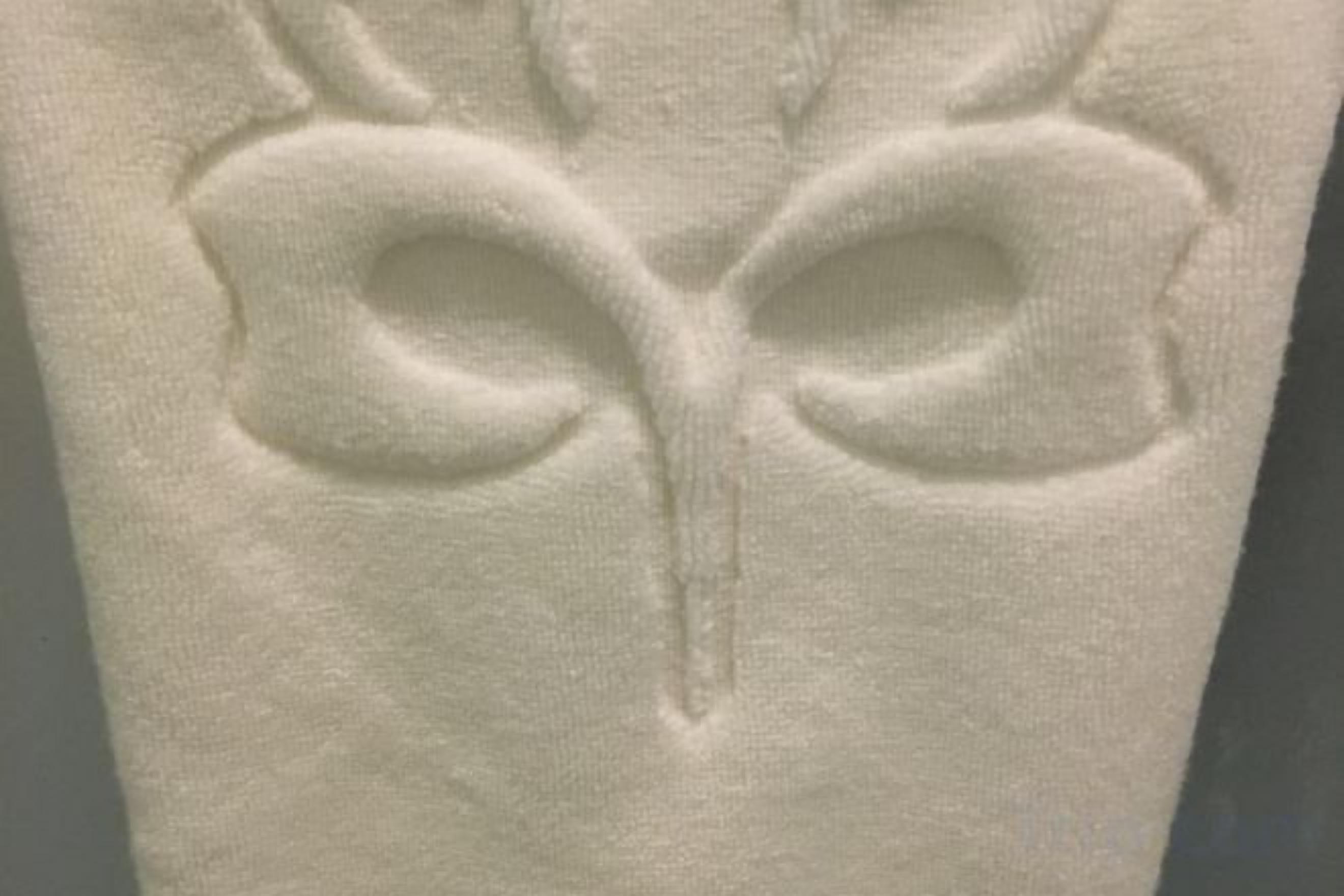 A textured surface with a symmetrical design featuring two oval shapes connected by a central line.