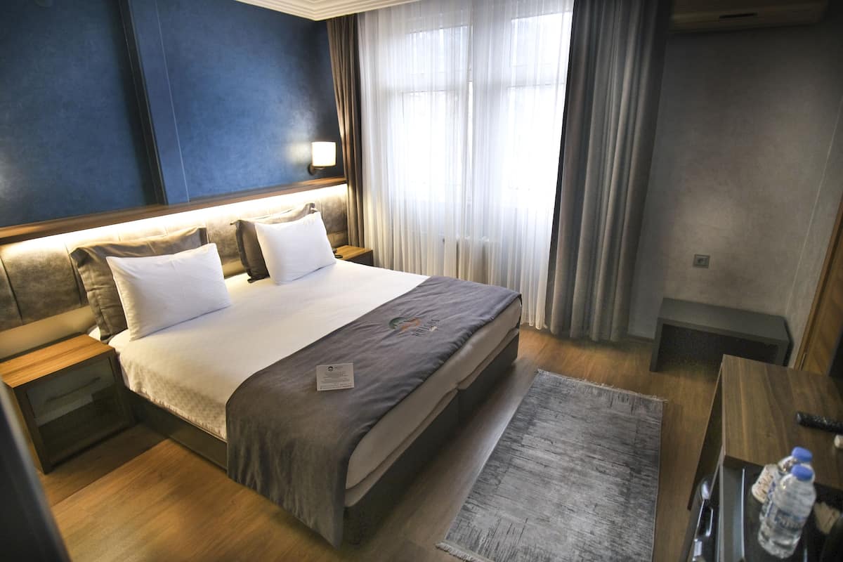 Standard Double or Twin Room | Iron/ironing board, free WiFi, bed sheets