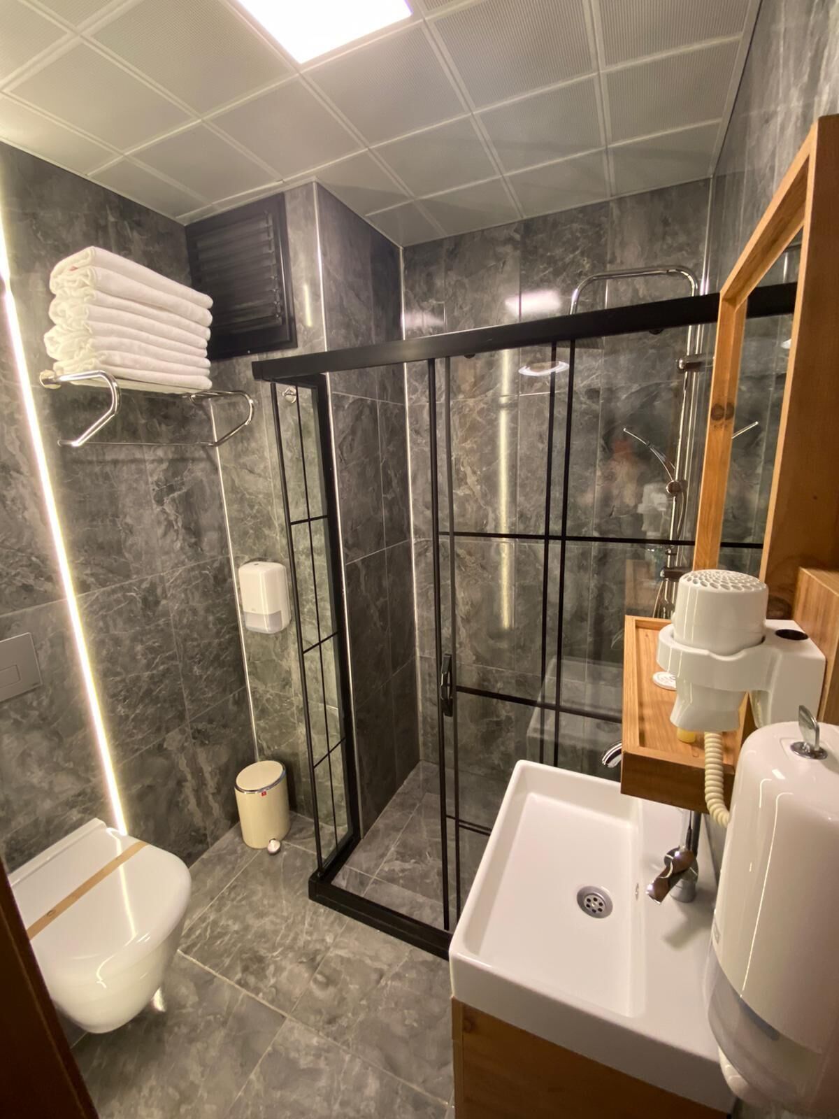 A modern bathroom with a glass shower enclosure, a toilet, and a sink with a wooden vanity.