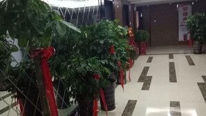 A hallway with potted plants tied with red ribbons, a tiled floor, and a door in the background. - Yi Xiao Ting Hotel (Enshishi)