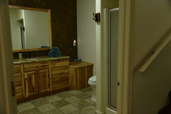 Shower, towels, toilet paper