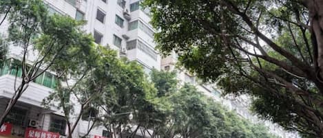 Rua arborizada com edifícios, lojas e placas.