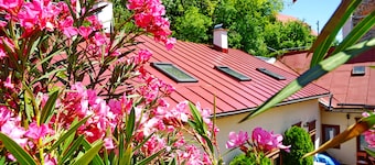 Quiet and sunny Mikovini apartment in the busy center of Stiavnica