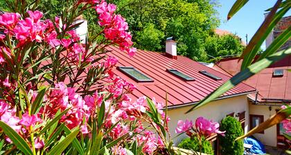 Quiet and sunny Mikovini apartment in the busy center of Stiavnica
