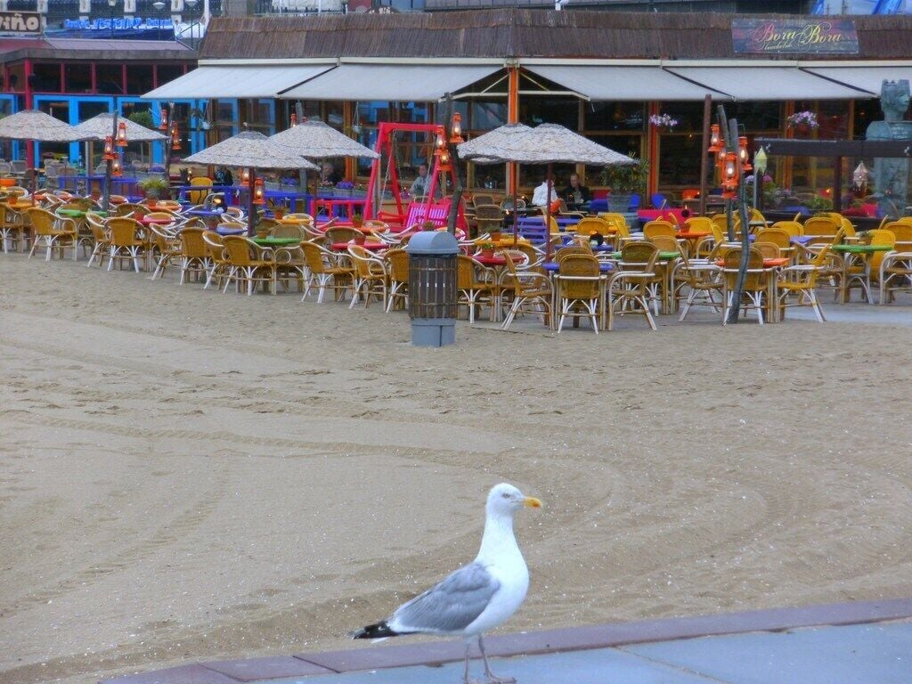 Een café aan het strand met terras en een meeuw op het zand.