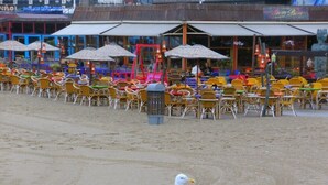 En café ved stranden med udendørs siddepladser og en måge på sandet.