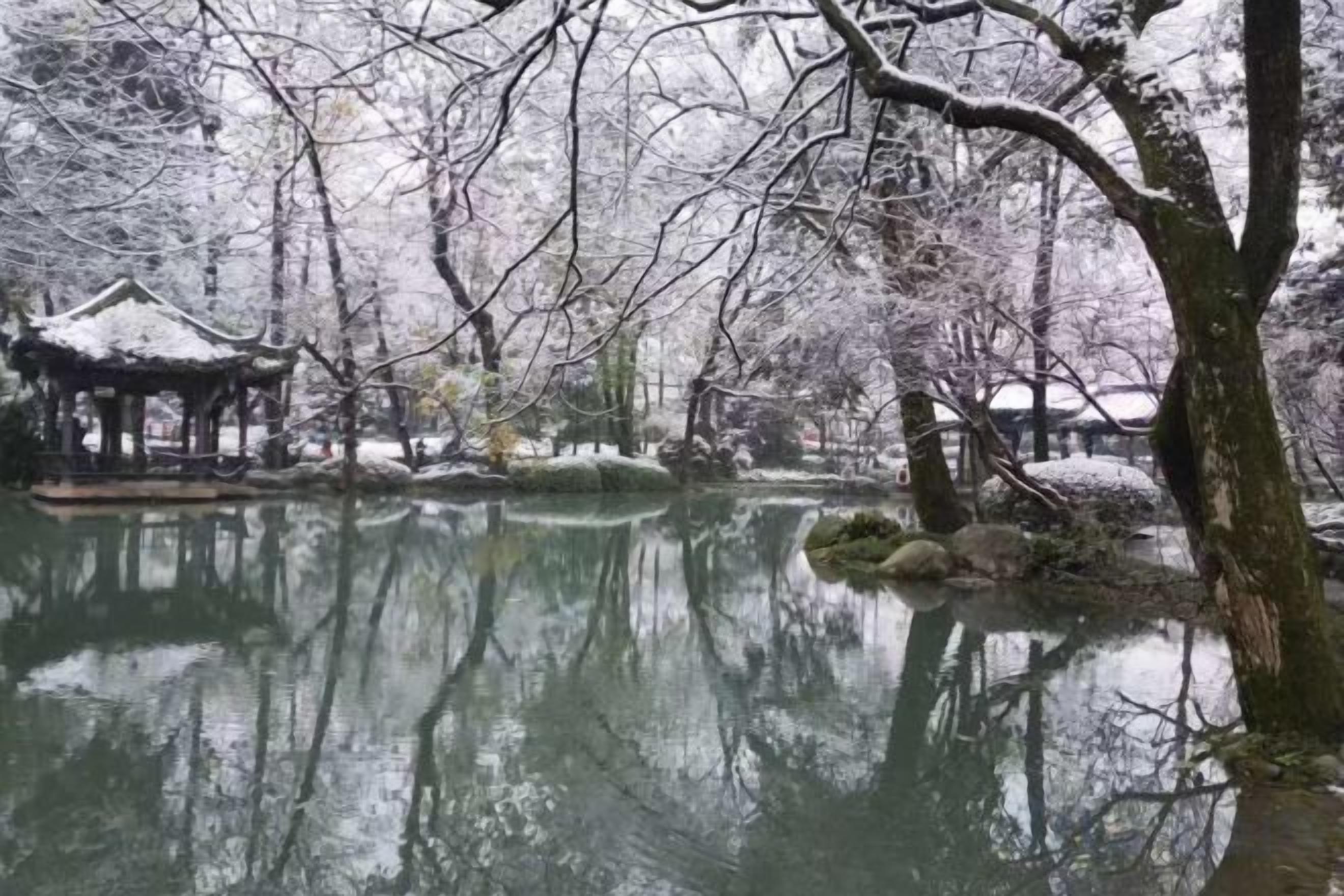 기타