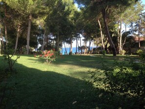 Jardines del alojamiento