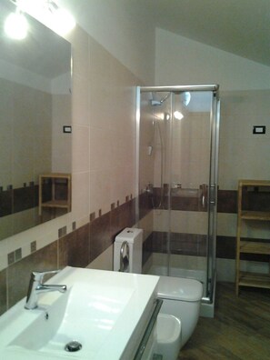 Shower, hair dryer, bidet, towels