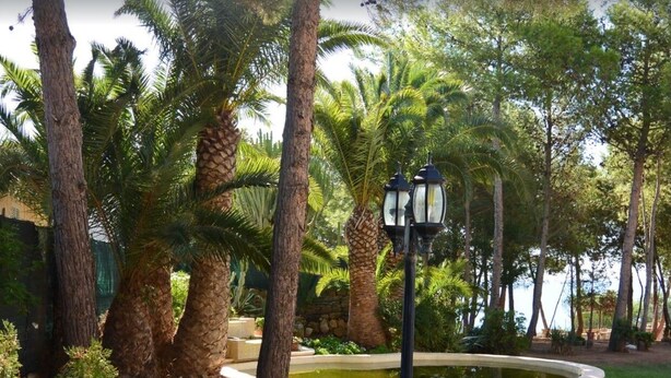 Ein Garten mit Palmen, einer kreisförmigen Wasseranlage und zwei Straßenlaternen.