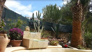 Ein Garten mit einem Wasserspiel, Kakteen und Kübelpflanzen.