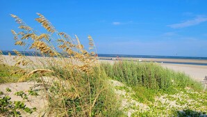 Une plage avec des dunes de sable et de la végétation.