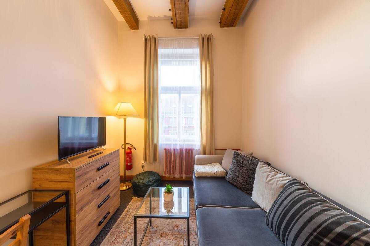 Ein gemütliches Wohnzimmer mit einer Couch, einem Fernseher auf einem Holzschrank, einem Glastisch mit einer Pflanze und einer Lampe.