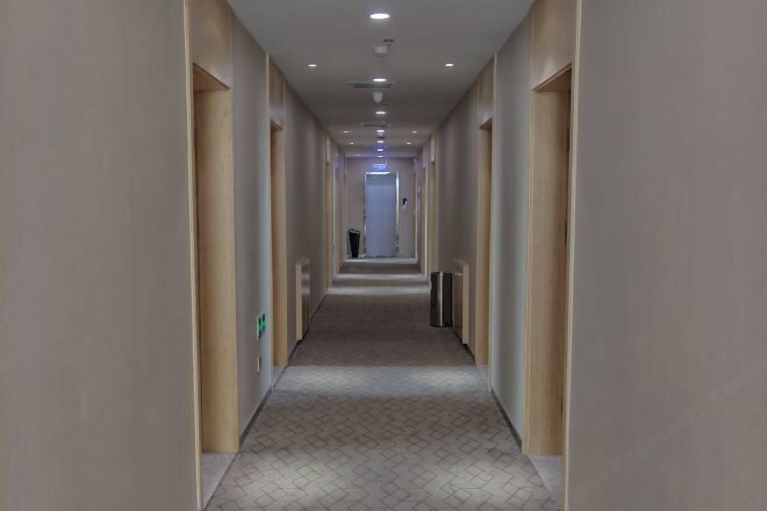 Un pasillo largo y estrecho con alfombra estampada, paredes de tonos claros y varias puertas a un lado.