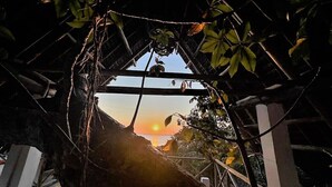 A structure with a view of the sunset through a window, surrounded by foliage.