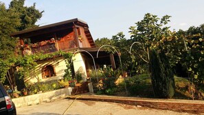 Property grounds - The Chalet on the Nebrodi (Castell'Umberto)