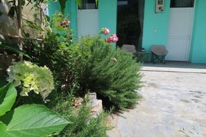 A garden with plants and a bench, a door, and a chair outside a building. - Qingwu Fisherman's Hostel (Shengsi)
