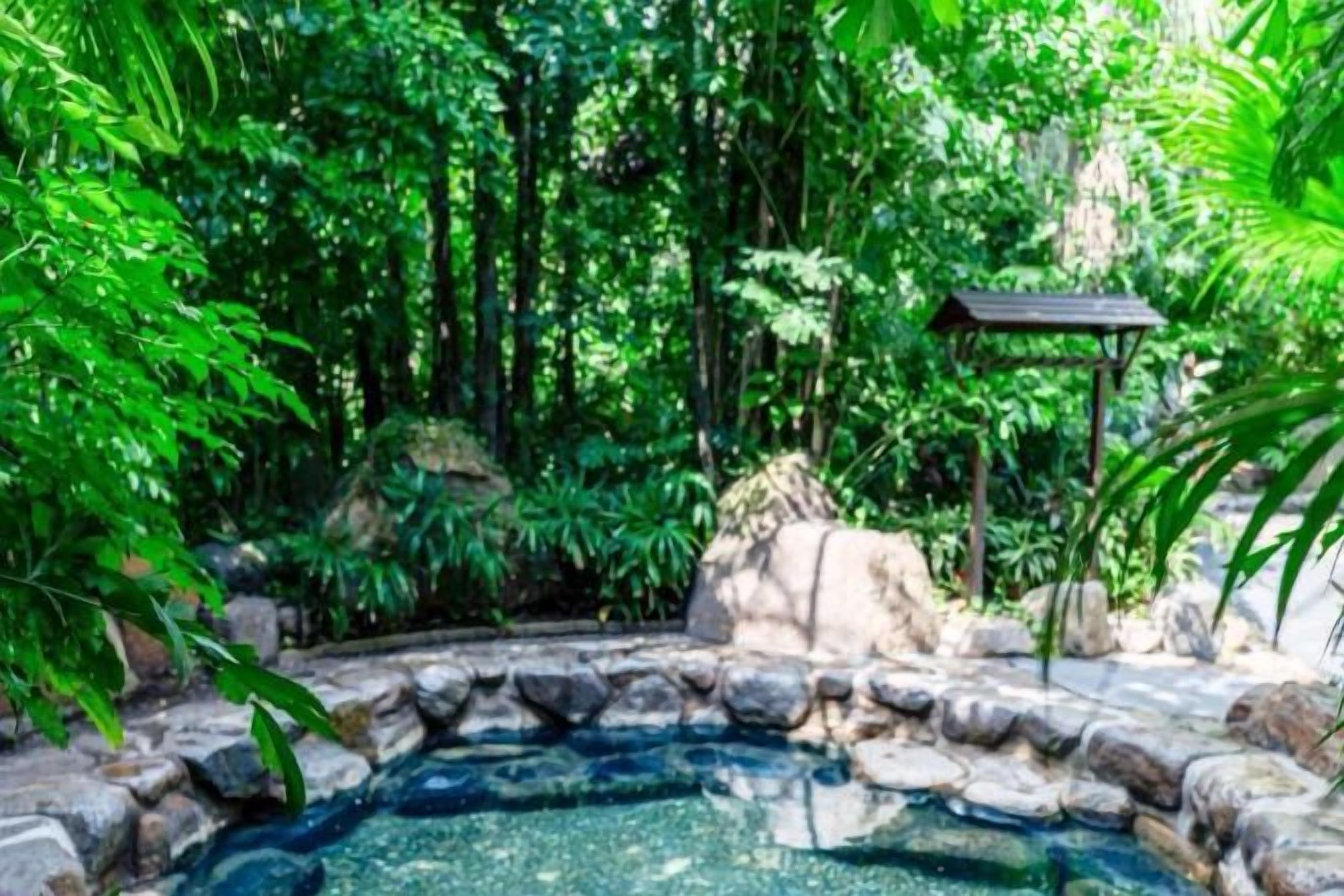 Uma piscina natural rodeada por pedras e vegetação exuberante.