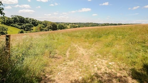 Un paisaje rural con un sendero de tierra que atraviesa un campo, rodeado de árboles y colinas.