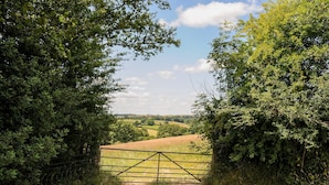 Un sendero rural que atraviesa una puerta de acceso a un campo.
