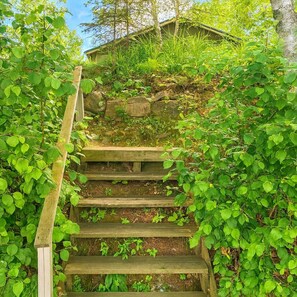 Eine Holztreppe, umgeben von üppigem Grün, die zu einem Gebäude führt.