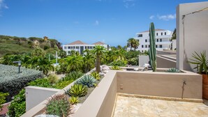 A modern building with a flat roof, surrounded by a landscaped garden with various plants and a large cactus. - Blue Bay Green View (Sint Michiel)