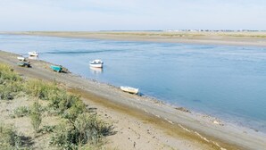 Une rive où plusieurs bateaux sont amarrés le long du rivage.