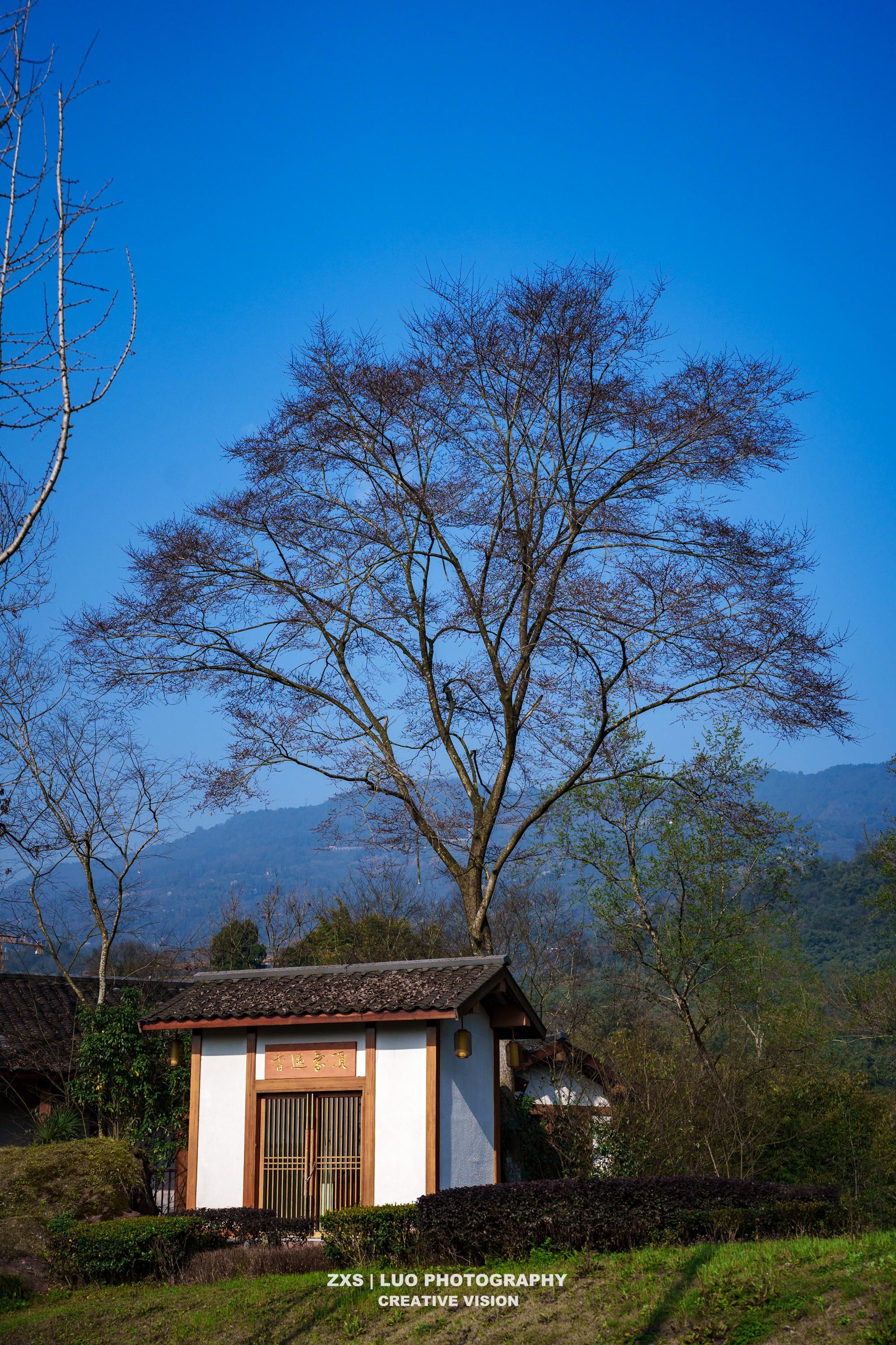 A traditional building with a tiled roof, a wooden door, and a small garden area.
