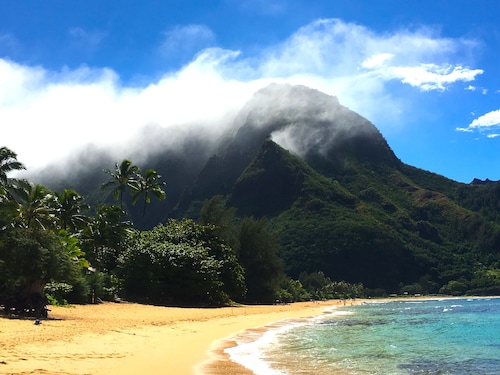 Fresh, Bright, Cute. Near Hanalei! Walk to the ocean in minutes.