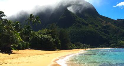 Fresh, Bright, Cute. Near Hanalei! Walk to the ocean in minutes.