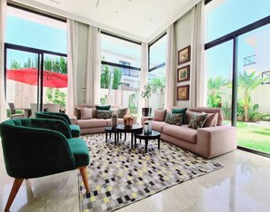 TV connectée, cheminée, livres, chaîne hi-fi