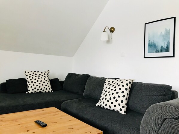 LED TV, fireplace, books