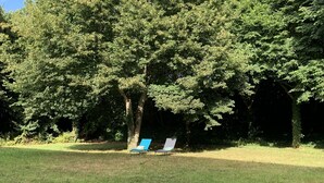 Een gazon met twee blauw-witte ligstoelen onder een grote boom.