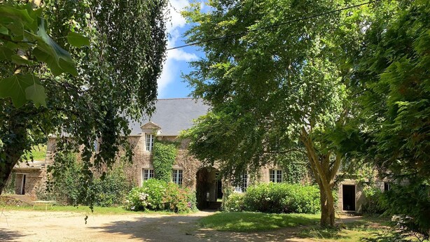 Een gebouw van steen met klimop, een gazon en een boom.
