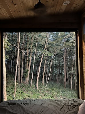 Een kamer met een groot raam en uitzicht op een dicht bos.