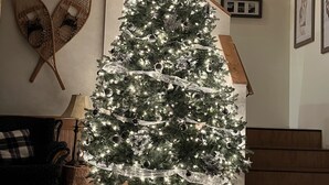 A cozy living room with a large Christmas tree decorated with lights and ornaments, a wooden ceiling, and a fireplace. - Stewart Family Cabin by Face Lake (Logan Lake)