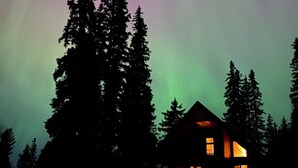 A house with multiple windows and a visible interior light, surrounded by tall trees. - Stewart Family Cabin by Face Lake (Logan Lake)