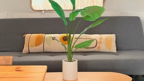 A room with a grey sofa, a wooden table, and a potted plant.
