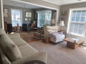 TV, DVD player, books, video library