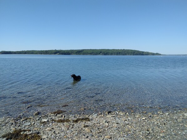 Plage à proximité