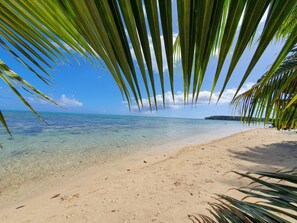 A beach with clear turquoise water, sandy shore, and palm leaves framing the view.