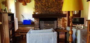 TV, fireplace, video games, DVD player