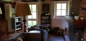 TV, fireplace, video games, DVD player